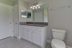 Master Bath Vanity